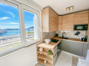 Homey apartment with a view